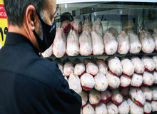 خرید مرغ برای ایرانیان رویا شد/ هر بسته مرغ ۹۰۰گرمی ۱۵۵ هزار تومانی شد+تصاویر