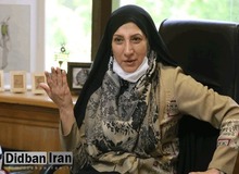 واکنش زهرا نژاد بهرام به برنامه مدیریت شهری جدید: به جای نوسازی بافت فرسوده به «درجاسازی» می‌رسیم!/ «کف‌بری» در جهان منسوخ شده است 