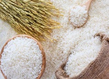 افزایش قیمت برنج در سایه کاهش ۲۰ درصدی تولید