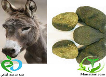 عنبر نسارا چیست و چه کاربردی دارد؟
