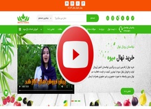 پا به پای نهال گردو؛ از کاشت تا تبدیل به درختی سایه‌ گستر
