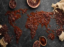 واردات ۱۴۸ میلیون دلاری قهوه به کشور در سال ۱۴۰۲