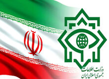 بیانیه وزارت اطلاعات درباره دستگیری دومین عامل حمله تروریستی به شاهچراغ