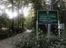 بردن ساز به پارک‌ها آزاد شد؟
