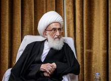 آیت‌الله نوری همدانی: نباید بنشینیم و ببینیم دشمن مردم غزه را به شهادت می رساند