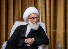 آیت‌الله نوری همدانی: نباید بنشینیم و ببینیم دشمن مردم غزه را به شهادت می رساند