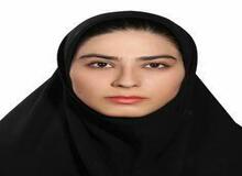 زنان؛ وسیله ای جهت تحقق و رسیدن به قدرت یا بخشی از جامعه 