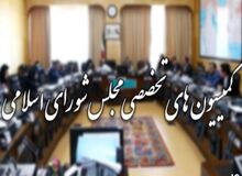 تکلیف کمیسیون‌های تخصصی مجلس چه زمانی روشن می‌شود؟