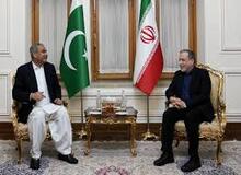 وزیر کشور پاکستان عازم تهران شد