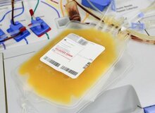 مخالفت سازمان انتقال خون با پلاسمافروشی
