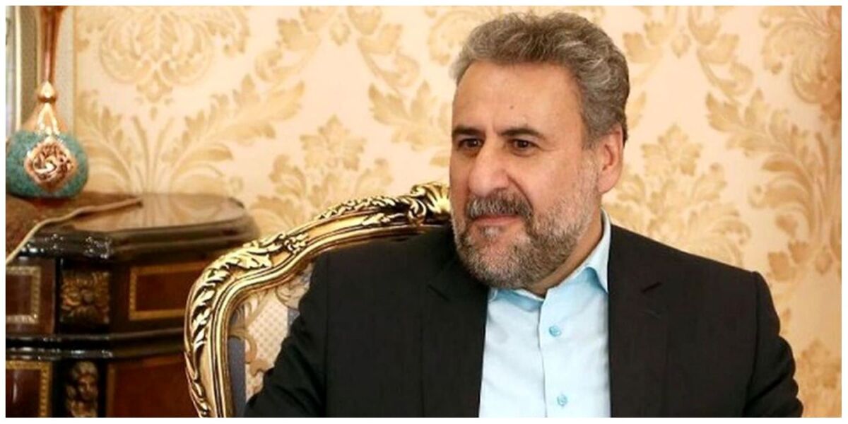فلاحت‌پیشه، کارشناس سیاست خارجی:  بار دیگر منافع ملی کشور را قربانی روسیه نکنیم