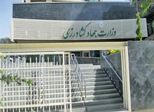 جهاد کشاورزی البرز: فروش گوشت دام پیر ایرانی به نام گوشت برزیلی صحت ندارد
