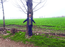 مدافعان سرسخت درختان