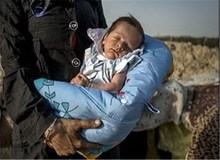 نوزاد با شناسنامه، فقط 100 میلیون تومان+ جزییات