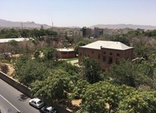 درختان عمارت «بزرگ آقا» شبانه قلع و قمع می شوند/ سرنوشت ثابت پاسال در انتظار خانه وثوق الدوله