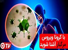 ویروس کرونا چیست؟/ کرونا ممکن است از حیوانات اهلی هم به انسان منتقل شود/ راه های پیشگیری از آن