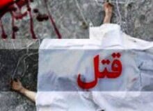 معمای قتل زن جوانی که جسدش در انباری پیدا شد
