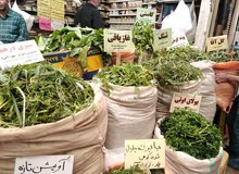 سودجویی با گیاهان کمیاب کوهستان‌های تهران / فروش سبزی‌های کوهی به قیمت گزاف در بازار تجریش
