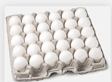 قیمت جدید تخم‌مرغ اعلام شد/ هر کیلو تخم‌مرغ برای مصرف‌کننده چقدر مصوب شد؟