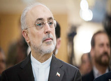 علی اکبر صالحی: اگر بروید برای ترجمه مدارک مهاجرت، باید یک ماه در صف باشید، ببینید به کجا رسیدیم!+فیلم 