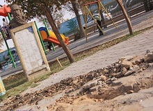 انتقال قبر وحشی بافقی به زادگاهش
