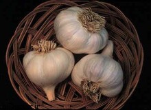 سیر بخورید، سالم بمانید