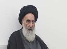 آیت الله سیستانی پیوند کلیه خوک به انسان را جایز دانست