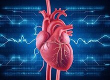 بهترین ورزش‌ها برای تضمین سلامت قلب
