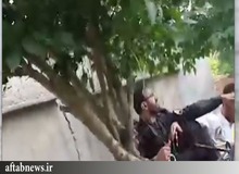 توضیح پلیس درمورد ویدیوی درگیری مامور پلیس و دختری جوان
