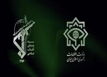 فرماندار سرپل ذهاب: سلطنت طلبان را دستگیر کردیم 