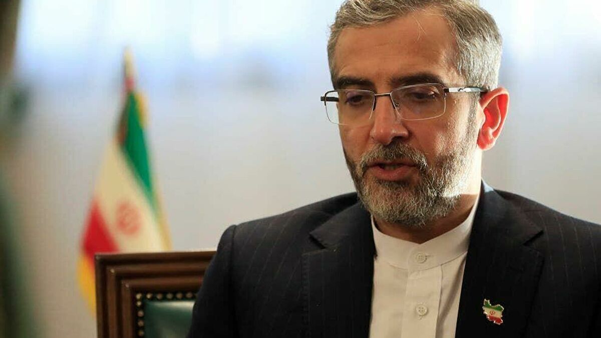 باقری کنی: ما مذاکرات را متوقف نکردیم، برای استراحت رفتیم

