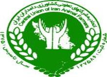 روند تولید شیر در ایران افزایشی است و کمبود نداریم/ کارخانجات لبنی صادرات را افزایش و عرضه داخلی را کاهش داده اند