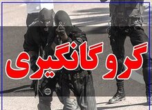 حمله ۵ مرد مسلح به یک پارکینگ در جنت‌آباد جنوبی/ آزادی گروگان ربوده شده پس از ۳ روز