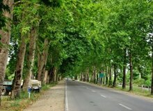 داستان خانواده‌ای که ۴سال پیش، پس از مهاجرت از تهران به فومن راهی برای کمک به نیازمندان ایجاد کردند
