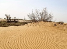 معاون سازمان منابع طبیعی خبر داد: افزایش ۲.۵ میلیون هکتاری بیابان‌های کشور در دهه اخیر