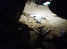 در حمله دیشب به سراوان؛ آمچار، رئیس جبهه آزادی‌‌بخش بلوچستان کشته شد
