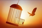آزادسازی ۳۳ زندانی جرائم مالی غیر عمد در بحبوحه جنگ 