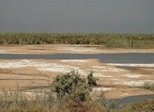 سطح وسیعی از تالاب هورالعظیم در بخش عراقی آن خشک شده است