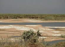 سطح وسیعی از تالاب هورالعظیم در بخش عراقی آن خشک شده است