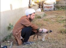 حجت‌الاسلام نظافتی: چرا برخی افراطیون مذهبی نمی‌خواهند قبول کنند که همه موجودات زنده مثل سگ‌ها هم حق حیات دارند؟ / سگ ولگرد یعنی چه؟ یعنی انسان هم اگر کسی را نداشت باید «ولگرد» خطابش کنیم/ اسلام می گوید شما حق ندارید به صورت یک سگ حتی سیلی بزنید