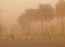 باد شدید زابل را در نوردید