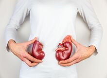 درباره یک رژیم غذایی برای پیشگیری از عود مجدد سنگ کلیه بیشتر بدانید