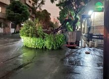 اورژانس: از هفتم تا پانزدهم اردیبهشت، ۸۶ نفر در اثر وزش شدید باد و رعد و برق دچار مصدومیت شده‌اند؛ از این تعداد ۹ نفر فوت کرده‌اند