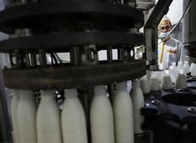 قیمت جدید شیرخام گران شد