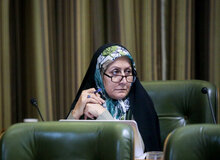 واکنش عضو سابق شورای شهر تهران به تفکیک جنسیتی کردن پارک‌ها/ امانی: با دیوارکشی فقط خشونت ترویج پیدا می‌کند/ پس دختر و پسر کجا باید یکدیگر را ببینند و تعامل مبتنی بر احترام را یاد بگیرند؟