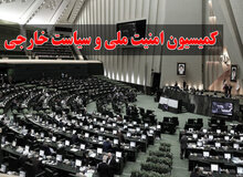دبیر دوم کمیسیون امنیت ملی خطاب به امیر عبدالهیان: مذاکرات هسته ای محرمانه و غیر قابل ارائه به همسایگان است