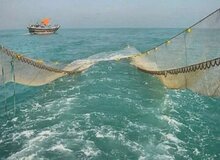 واکنش نماینده بندرعباس به حمله به صیادان هرمزگانی/ وضعیت صیادان حادثه، آمار دقیق شهدا و مفقودان مشخص است؟