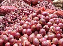 سلطان "پیاز" محکوم شد/ محکومیت میلیاردی قاچاقچی پیاز