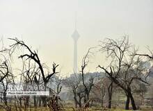آلودگی کُشنده هوای تهران/ تصاویــــر
