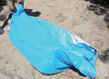 مرگ زن ۲۶ ساله در اثر شکنجه آزار در کرمانشاه